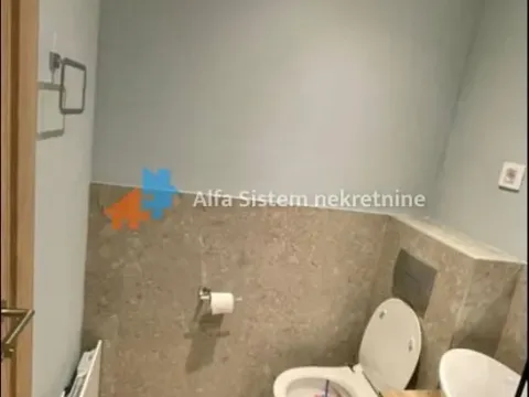 Izdavanje, dvosoban stan, 43m², Vračar Sve Podlokacije, Beograd - image 10