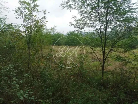 Sale, land lot, Sopot, Beograd