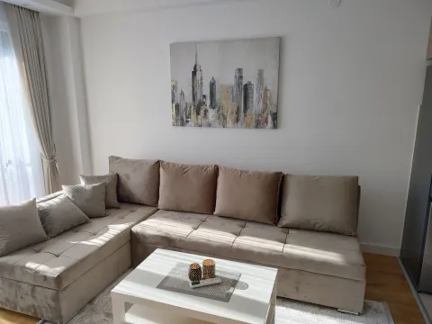 Stan-na-dan, garsonjera, 35m², Tološka šuma, Podgorica - image 3