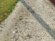 Sale, land lot, Stari Tamiš, Pančevo - image 8