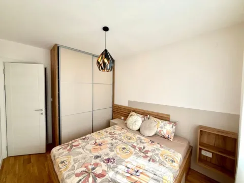 Izdavanje, jednosoban stan, 45m², Pobrežje, Podgorica - image 5