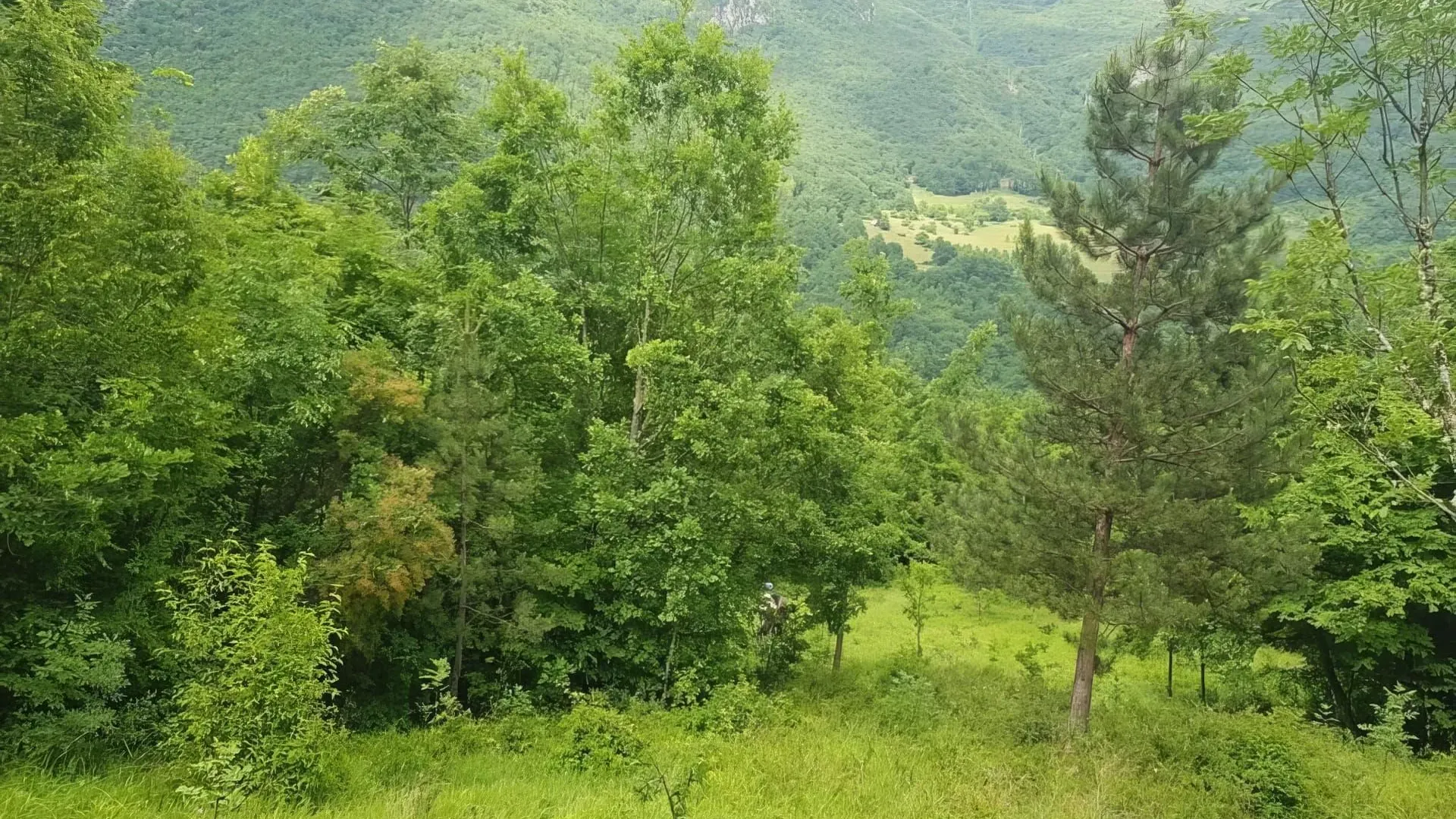 Prodaja, plac, 23425m², Plužine, Crna Gora