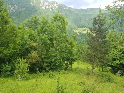 Prodaja, plac, 23425m², Plužine, Crna Gora - image 8