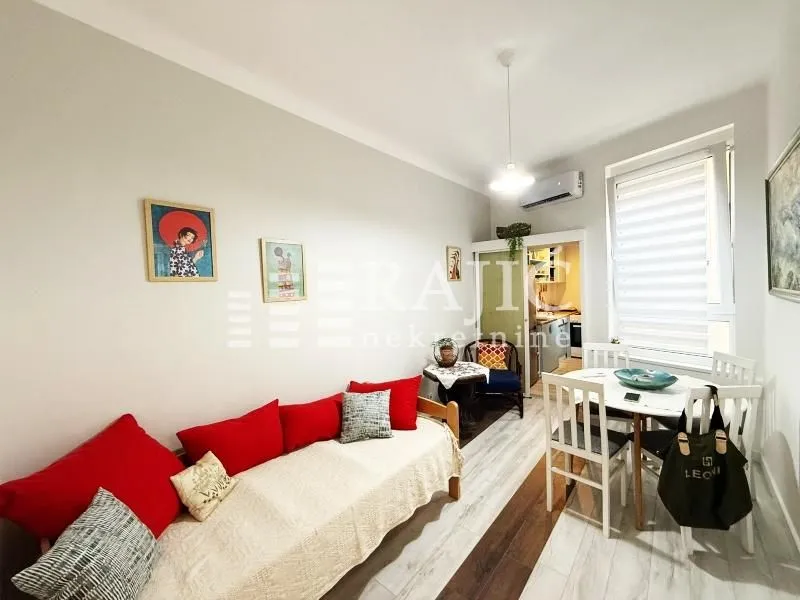 Living room with a sofa bed and a dining table.