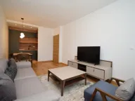 Izdavanje, jednosoban stan, 49m², Central Point, Podgorica - image 1