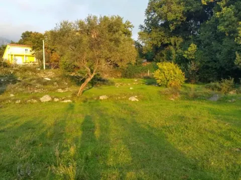 Prodaja, plac, 1500m², Podi, Herceg Novi