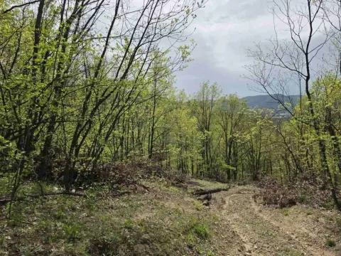 Prodaja, plac, 12800m², Bukovik, Arandjelovac - image 17