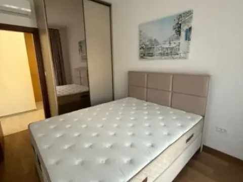 Izdavanje, jednosoban stan, 46m², Vezirov Most, Podgorica - image 5