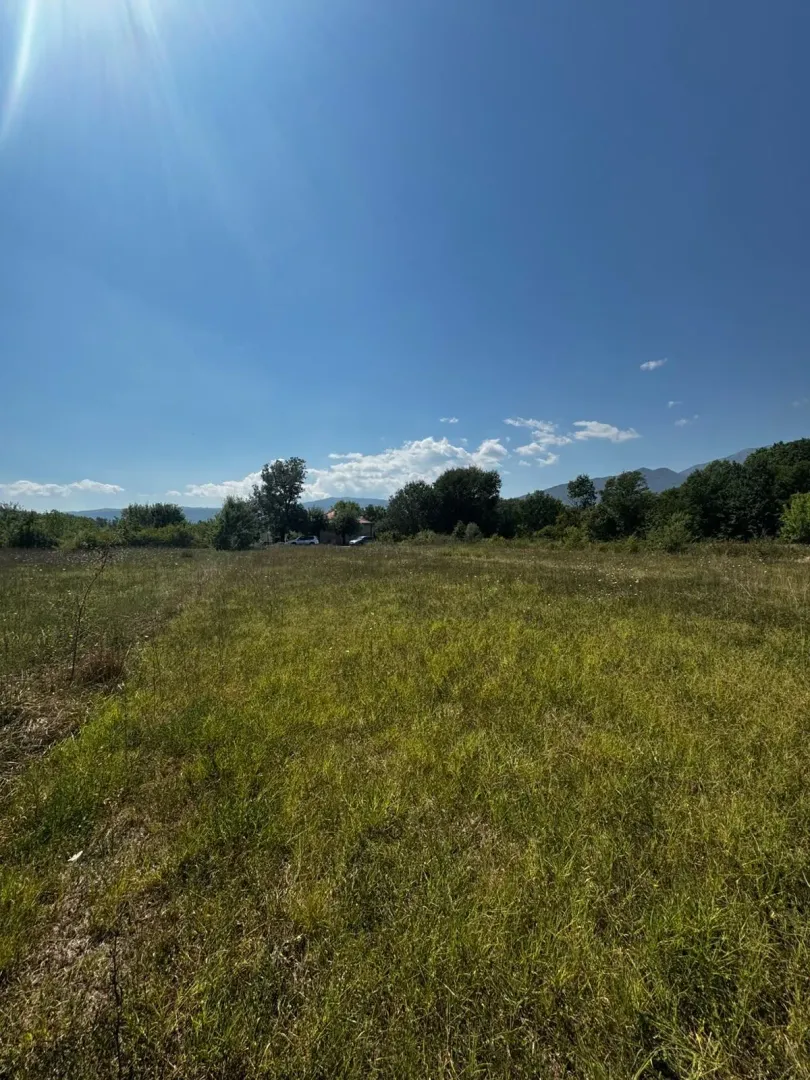 Pogled na zelenu livadu sa rastinjem i plavim nebom iznad.