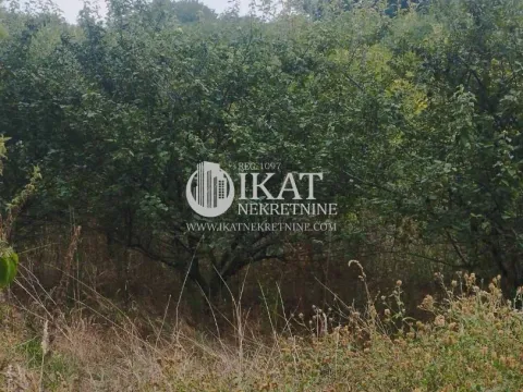 Sale, land lot, Vučak, Smederevo - image 4