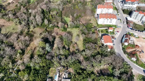 Prodaja, plac, 2620m², Radovići, Tivat - image 6
