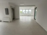 Izdavanje, poslovni prostor, 250m², Veternik, Novi Sad Sve Podlokacije - image 1