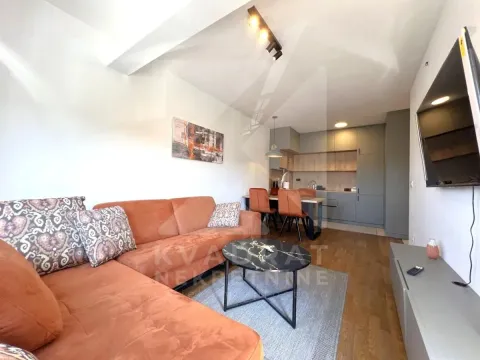 Izdavanje, jednosoban stan, 45m², Zagorič, Podgorica - image 1