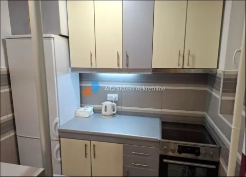 Rent, two bedroom apartment, 48m², Slavija, Vračar Sve Podlokacije - image 5