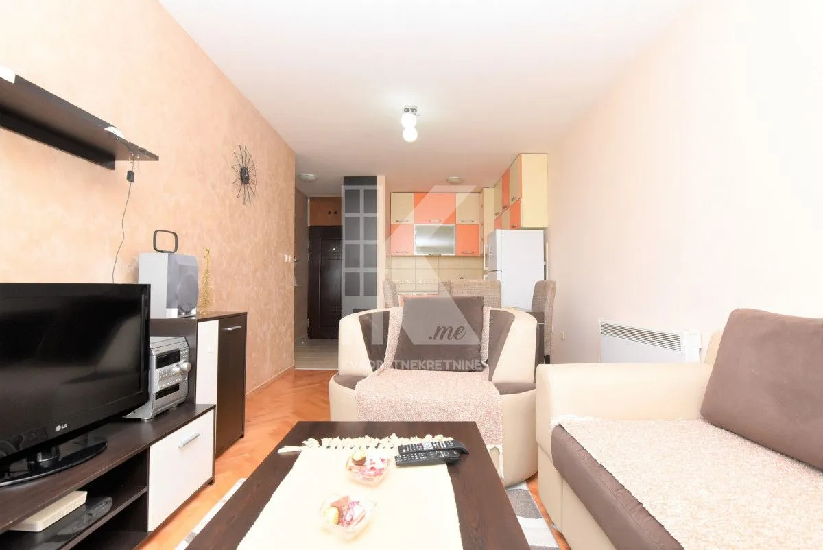 Rent, one bedroom apartment, 48m², Stari Aerodrom, Podgorica