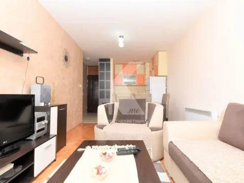 Izdavanje, jednosoban stan, 48m², Stari Aerodrom, Podgorica - image 3