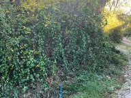 Sale, land lot, 1594m², Bar, Crna Gora - image 4