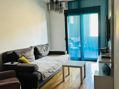 Izdavanje, jednosoban stan, 59m², Vezirov Most, Podgorica - image 2