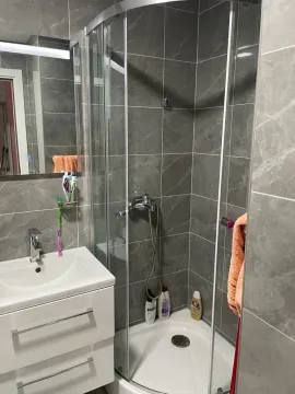 Modern bathroom with a shower cabin and a washbasin. - image 9
