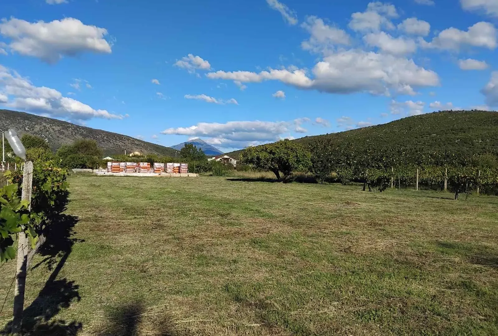 Prodaja, plac, 1520m², Beri, Podgorica