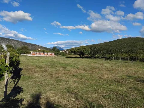 Prodaja, plac, 1520m², Beri, Podgorica - image 3