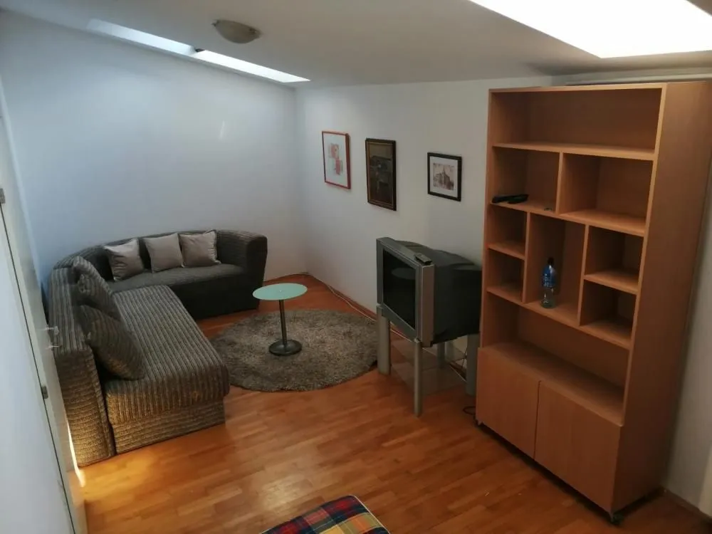 Smaller living room with seating furniture, shelving units, and skylights.