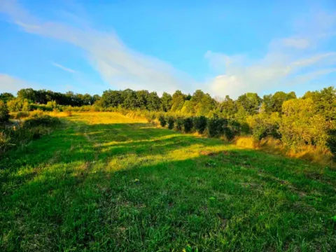 Prodaja, kuća, 140m², Kosjerić, Srbija - image 10