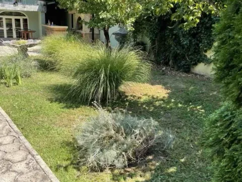 Izdavanje, poslovni prostor, 750m², Telep, Novi Sad Sve Podlokacije - image 28