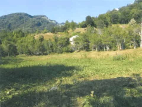 Sale, land lot, 10000m², Drpe, Kolašin - image 4