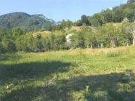 Prodaja, plac, 10000m², Drpe, Kolašin - image 4