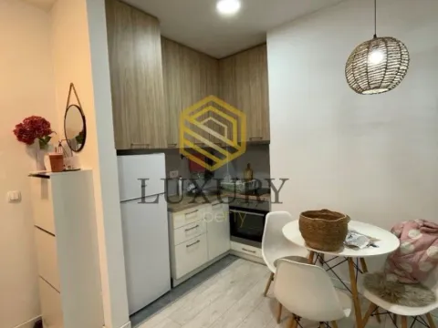 Izdavanje, garsonjera, 27m², Stari Aerodrom, Podgorica - image 1