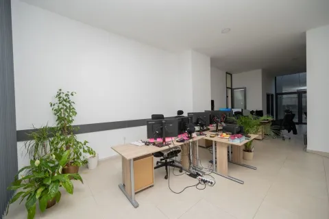 Sale, office space, 188m², Zabjelo, Podgorica - image 4