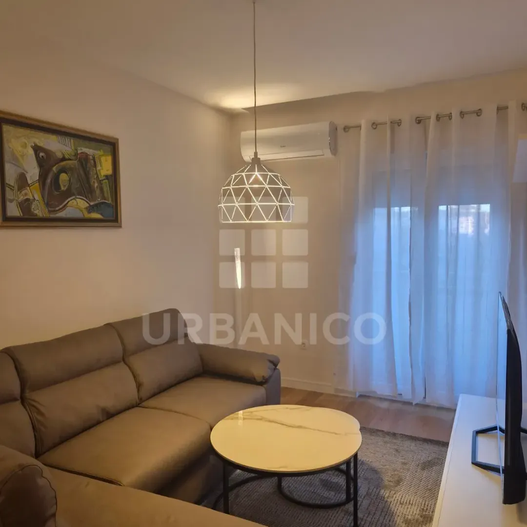 Rent, one bedroom apartment, 44m², Central Point, Podgorica