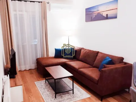 Izdavanje, jednosoban stan, 40m², Central Point, Podgorica - image 2