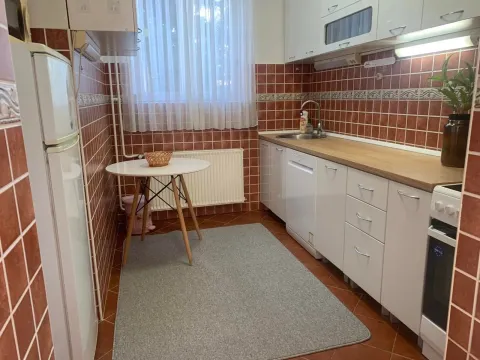 Rent, house, 250m², Zagorič, Podgorica - image 3