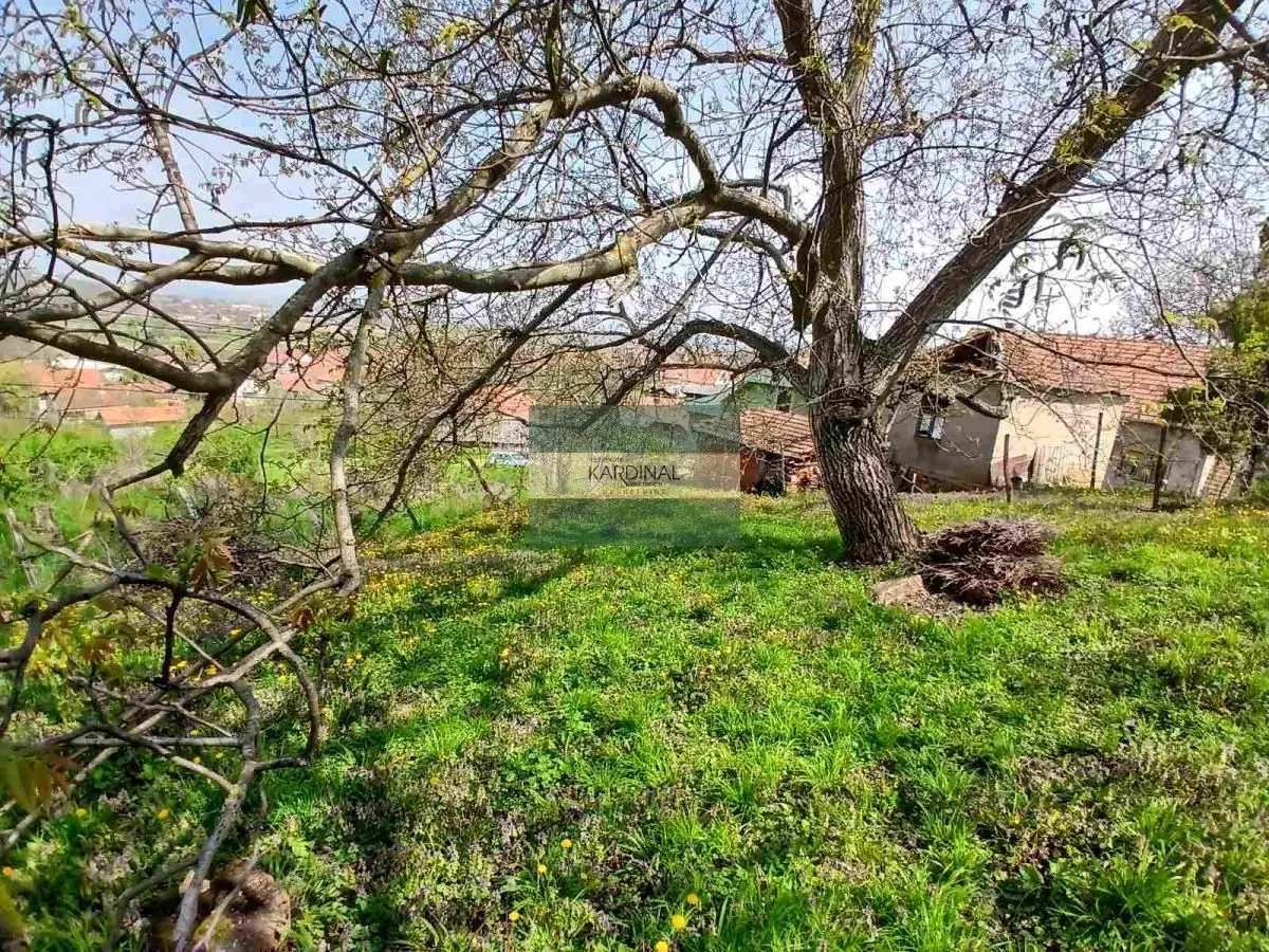 Prodaja, plac, 1258m², Majur, Jagodina