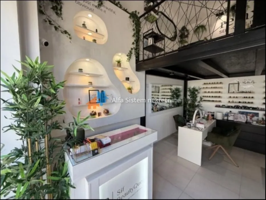 Rent, office space, 62m², Višnjička Banja, Palilula Sve Podlokacije