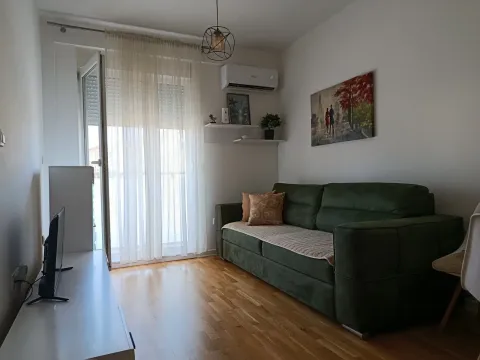 Rent, one bedroom apartment, 33m², Zabjelo, Podgorica - image 2