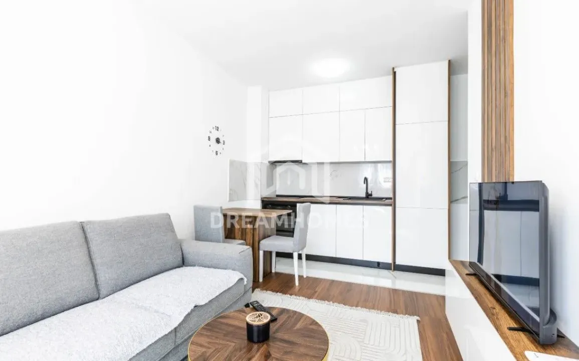 Izdavanje, jednosoban stan, 35m², Zabjelo, Podgorica