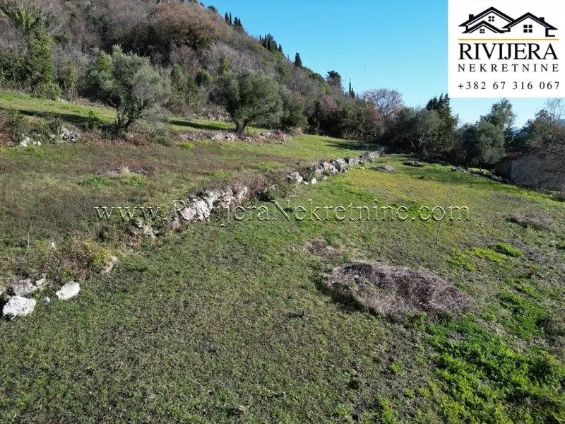 Prodaja, plac, 2306m², Trebesinj, Herceg Novi