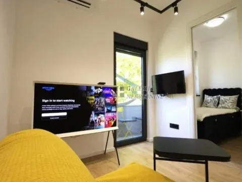 Izdavanje, jednosoban stan, 33m², Stari Grad, Beograd - image 2