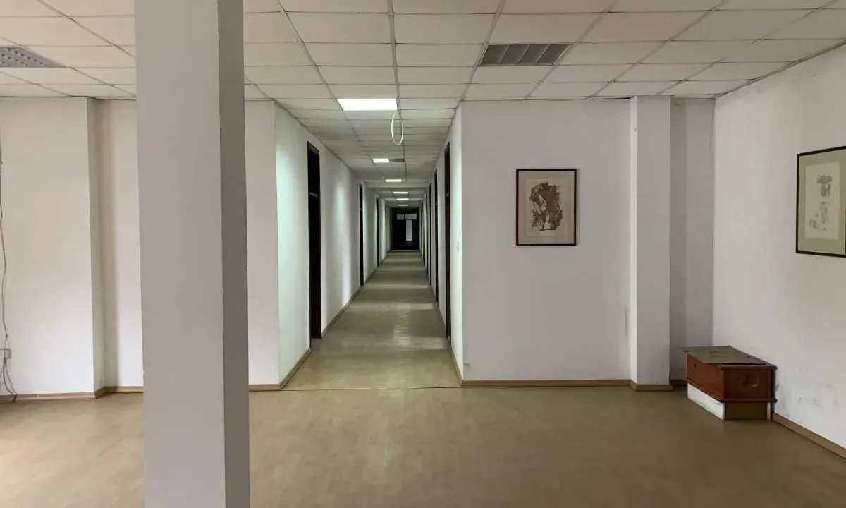 Izdavanje, poslovni prostor, 800m², Bul Kralja Aleksandra, Zvezdara Sve Podlokacije