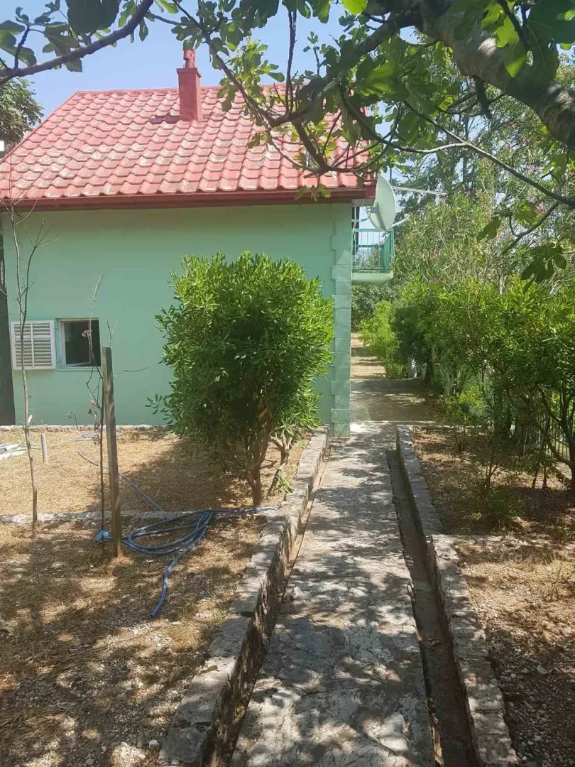 View of the yard and house facade with a paved pathway and greenery.