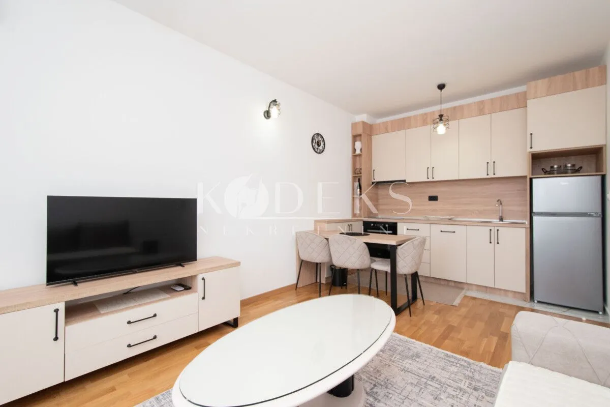 Rent, one bedroom apartment, 39m², Zagorič, Podgorica
