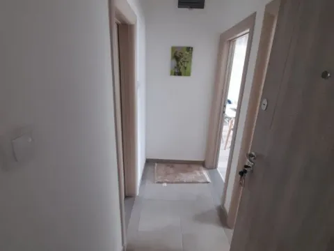 Izdavanje, jednosoban stan, 55m², Centar, Cetinje - image 2