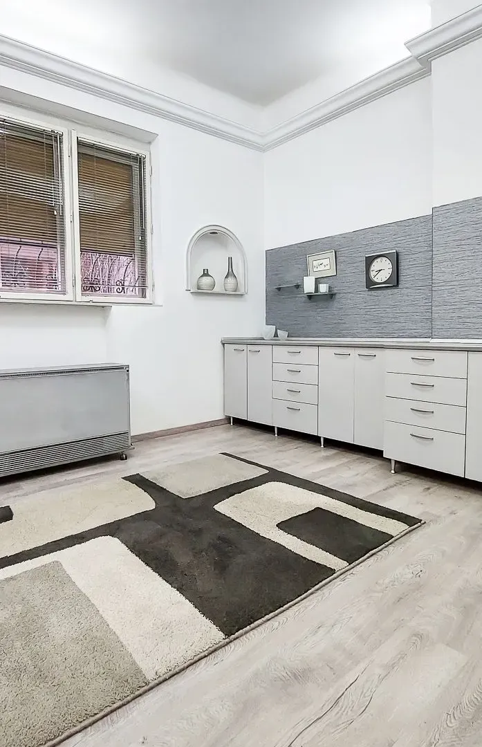 Izdavanje, poslovni prostor, 40m², Vračar Sve Podlokacije, Beograd