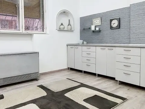 Izdavanje, poslovni prostor, 40m², Vračar Sve Podlokacije, Beograd - image 4