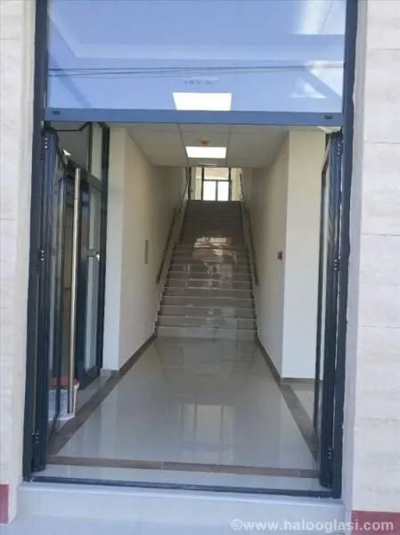 Izdavanje, poslovni prostor, 1200m², Zemun Sve Podlokacije, Beograd