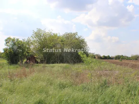 Prodaja, plac, 3800m², Temerin, Novi Sad - image 3