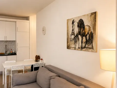 Prodaja, jednosoban stan, 43m², Preko Morače, Podgorica - image 2